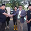Semangat Berkurban Meningkat, Unissula Potong 33 Sapi dan 25 Kambing